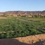 Morocco’s economy gains momentum with 4.8% GDP growth