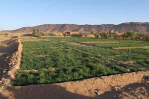 Morocco’s economy gains momentum with 4.8% GDP growth
