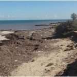 Tunisia’s coastline faces alarming erosion threat