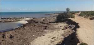 Tunisia’s coastline faces alarming erosion threat