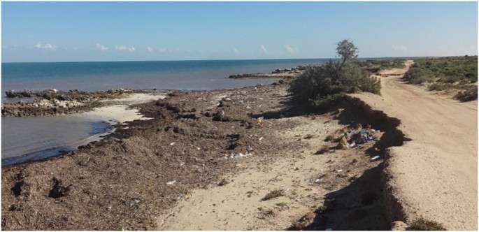 Tunisia’s coastline faces alarming erosion threat Tunisia’s coastline faces alarming erosion threat