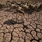 Moroccan heat wave threatens water security