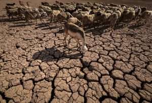 Moroccan heat wave threatens water security