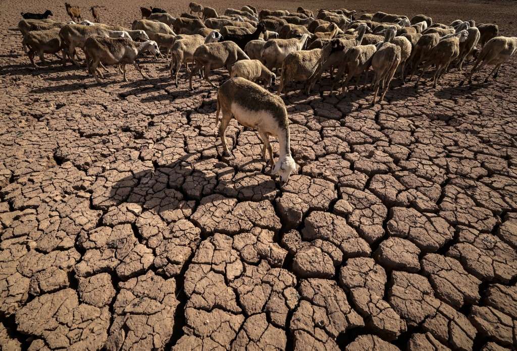 Moroccan heat wave threatens water security Moroccan heat wave threatens water security