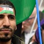 Algeria: “personal survival at all costs”
