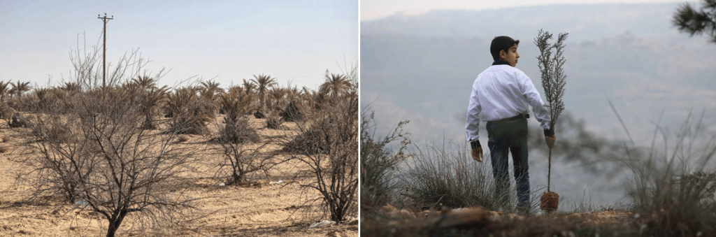 Libya’s environmental crisis is due to neglect and and conflict