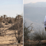 Libya’s environmental crisis is due to neglect and and conflict