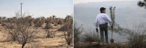 Libya’s environmental crisis is due to neglect and and conflict