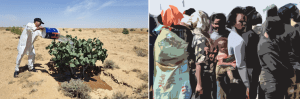 Libya: climate change is driving up migration, says new report
