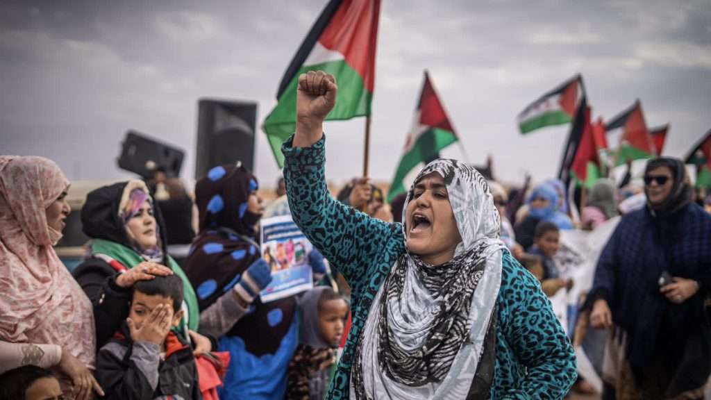 Report alleges Algeria–Polisario coordination