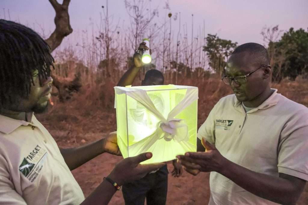 Burkina Faso ends Gates-backed Target Malaria project