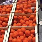 Spanish police find huge stash of Moroccan drugs hidden in oranges