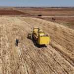 Wheat shortage in Syria risks severe hunger for millions