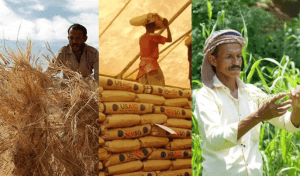 Yemen to face extreme floods threatening agriculture, UN warns