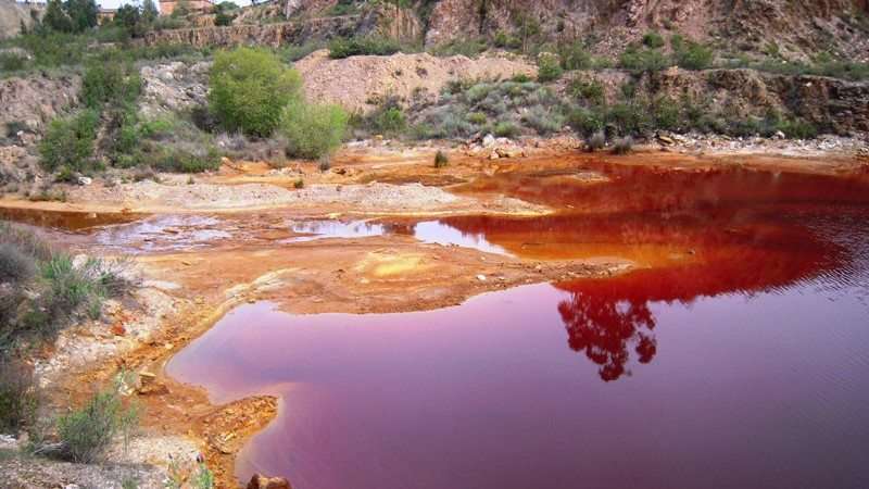 Chinese mining company in Zambia implicated in major toxic spill