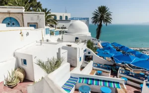 Sidi Bou Saïd on the Verge of UNESCO Recognition