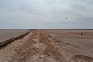 Algeria: Six dead at Tunisian Border