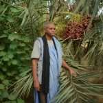 Climate change in Mauritania threatens date farmers