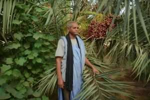 Climate change in Mauritania threatens date farmers