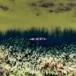 Iraqi agriculture bears the brunt of Increasing water salinity