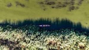 Iraqi agriculture bears the brunt of Increasing water salinity