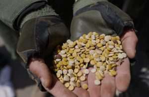 Syria: interior ministry seizes 12 million captagon pills