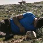 Palestine: Court ruling shows Israel’s ongoing cultural erasure