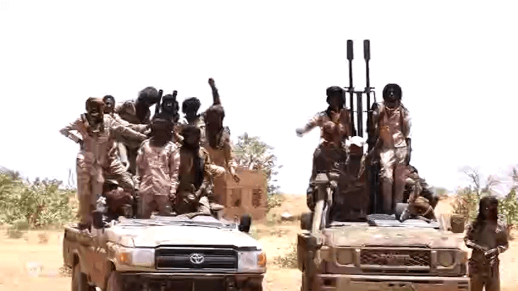 Sudan: Seven killed in RSF drone strikes Sudan: Seven killed in RSF drone strikes
