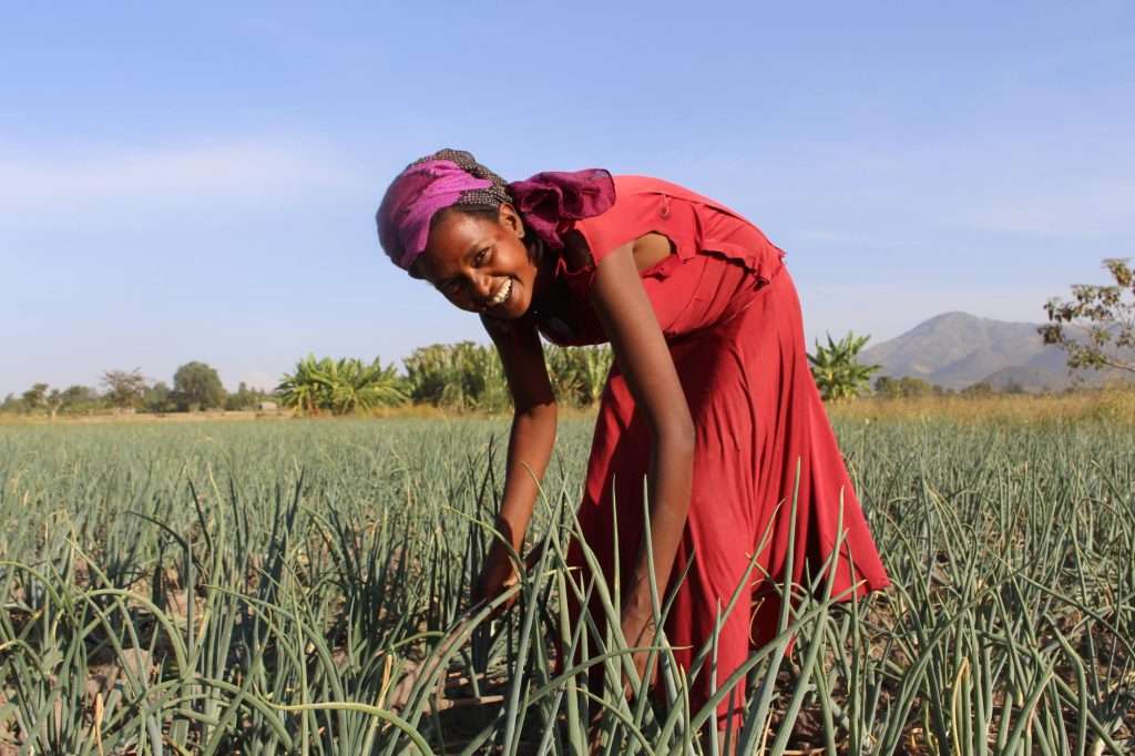 Women in Nairobi restoring traditional agriculture Women in Nairobi restoring traditional agriculture