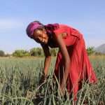 Women in Nairobi restoring traditional agriculture