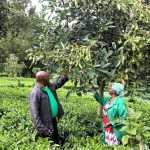 The Nairobi women reviving traditional agriculture
