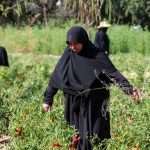 Women in south Lebanon say war never ended