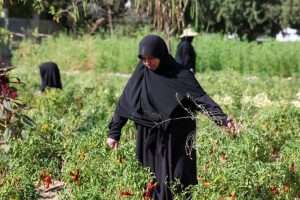 Women in south Lebanon say war never ended