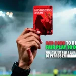 FIFA: Spanish group decry Morocco’s killing of stray dogs