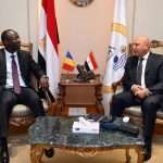 African conflict impedes construction of Egypt-Chad highway