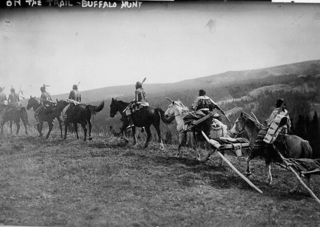 Aid cuts force Native American tribes back into bison hunting