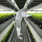 Japan’s food tech innovations aim to boost global food security