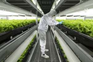 Japan’s food tech innovations aim to boost global food security