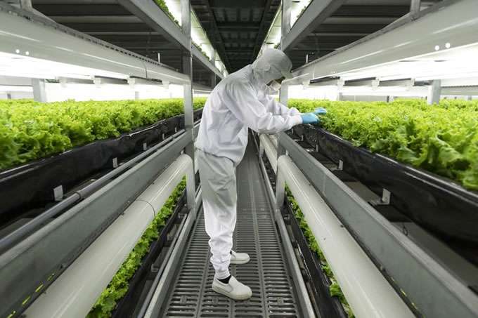 Japan’s food tech innovations aim to boost global food security