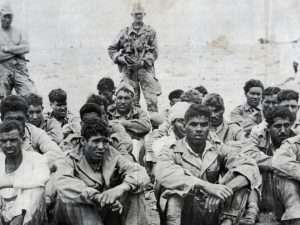 Algeria to host conference on colonial crimes in Africa