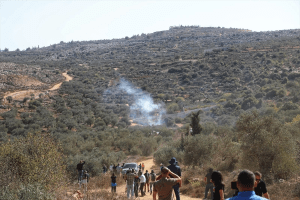 Occupied West Bank: Israeli settlers assault journalists