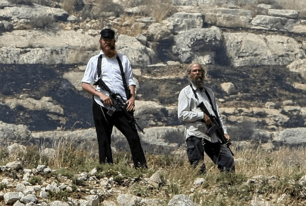 Occupied West Bank: Israeli settlers attack two villages