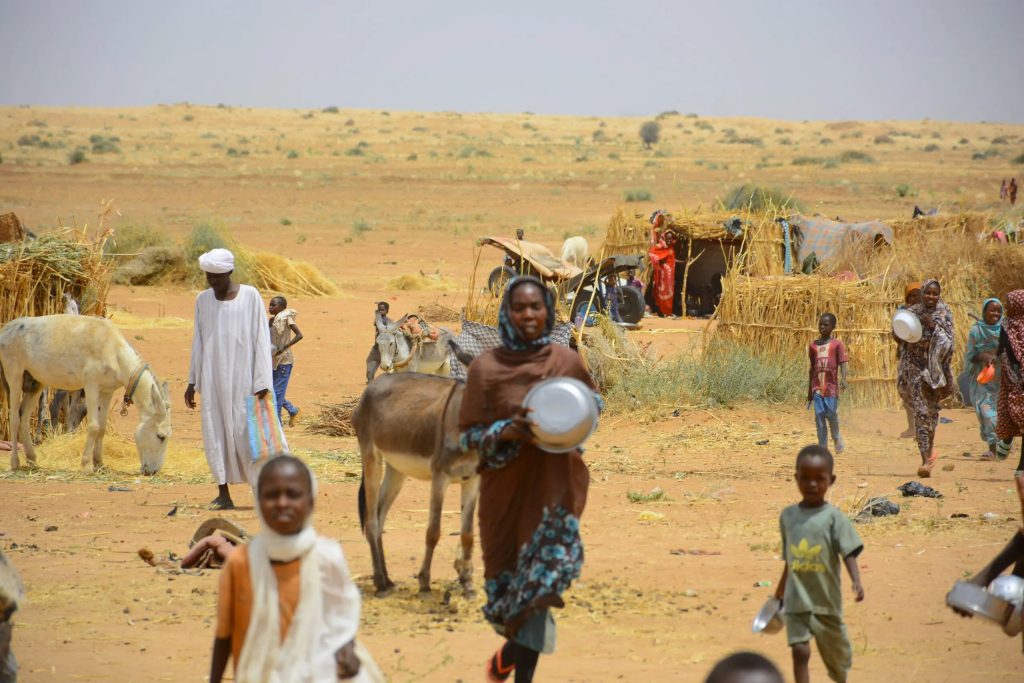 Sudan: Nearly 1000 displaced in a day as Darfur crisis worsens