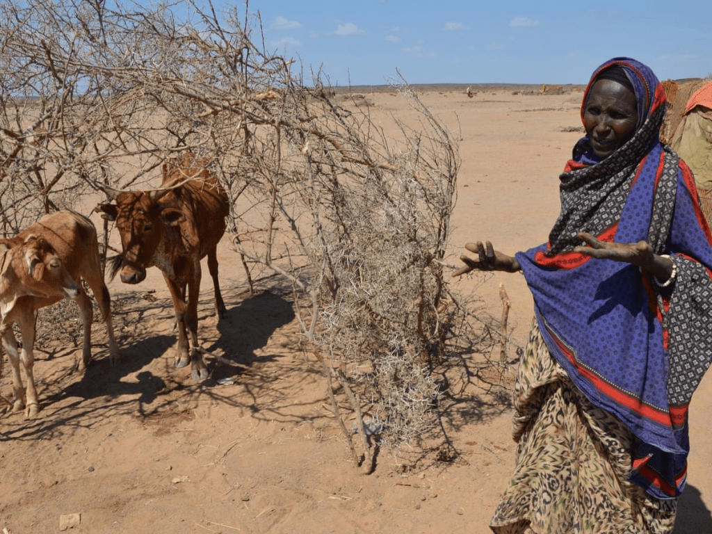 Ethiopia to host 2027 UN climate summit