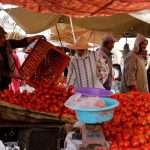 Morocco hits record high tomato export numbers to Ireland