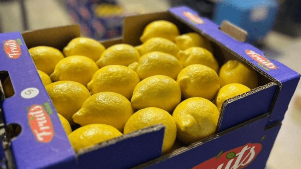 Morocco breaks record with  million lemon exports to the UK