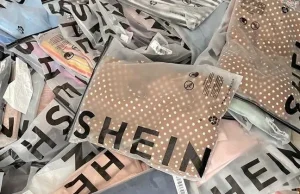 France calls for Shein suspension over childlike sex dolls