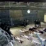 Israel: detention of ex-legal chief extended