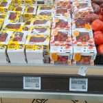 Polisario Front to file new appeal challenging EU-Morocco deal