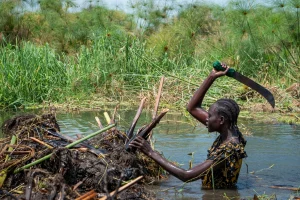 South Sudan faces sixth year of climate-driven floods